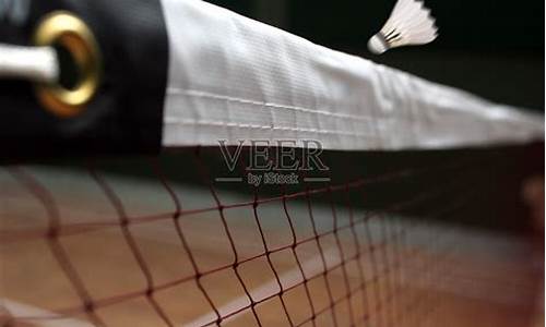羽毛球网_羽毛球网架标准多高